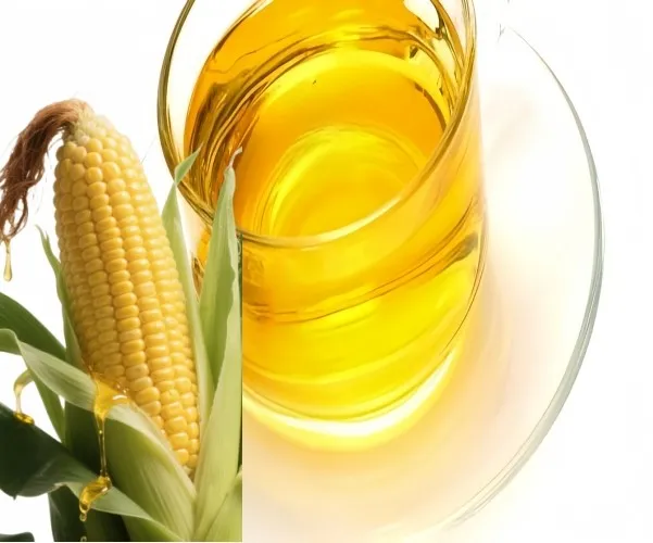 Golden Maize Oil best