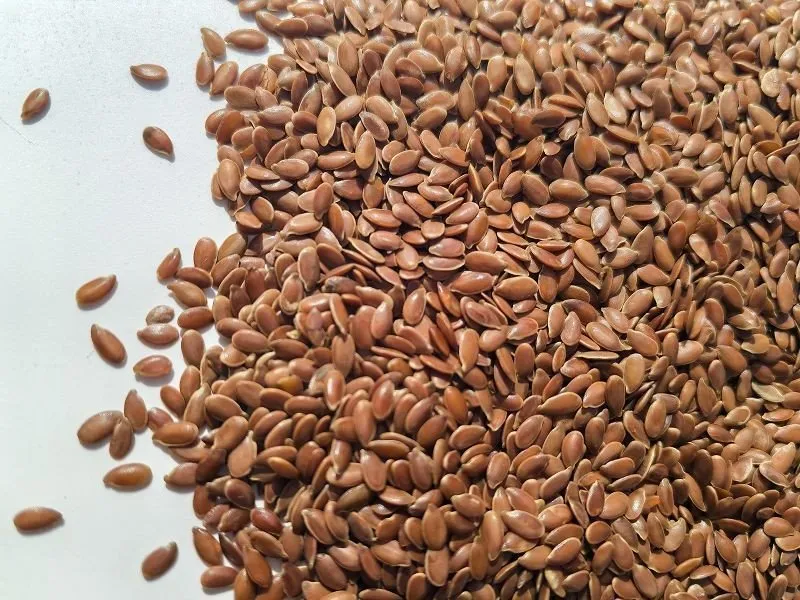 Natural Flax Seeds factory