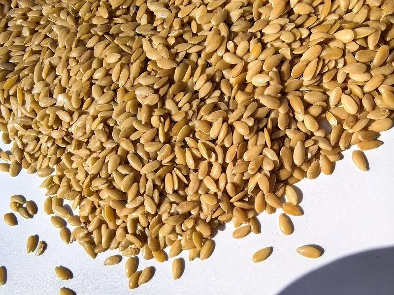 Organic Golden Linseed suppliers