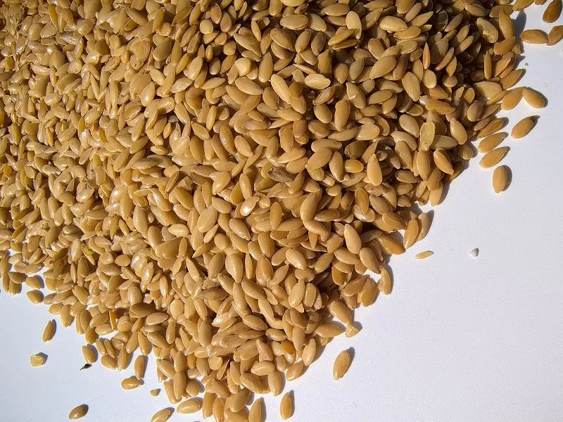 Organic Golden Linseed