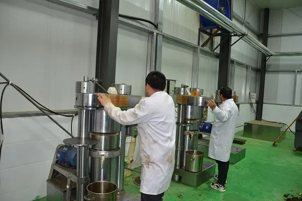 product-600-400