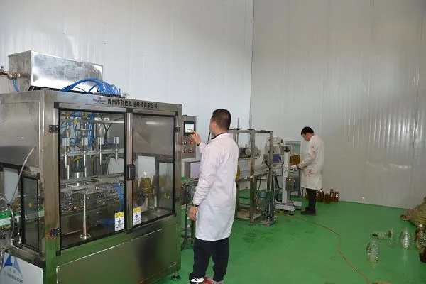 product-600-400